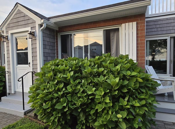 24 W Shore Drive, Old Saybrook, CT 06475