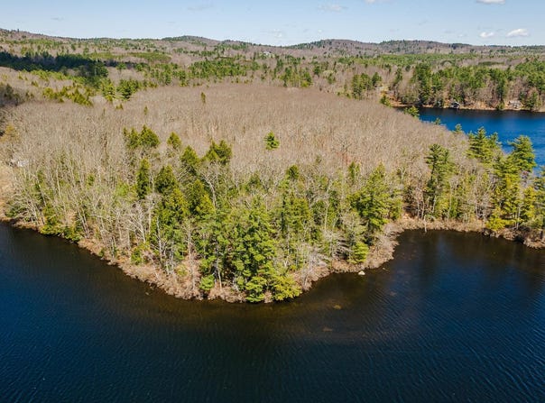 forest Road, Alstead, NH 03602