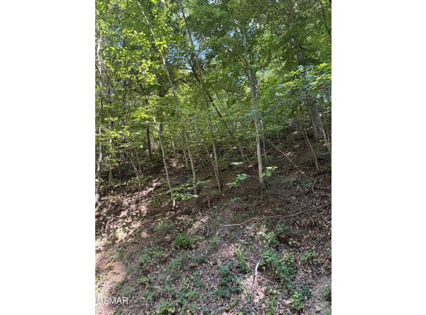 Progress Hill Boulevard, Pigeon Forge, TN 37863