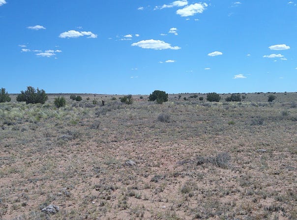 8356 Holly Trail, Snowflake, AZ 85937