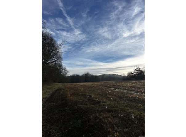 Tract 6-TBD Southside Road, Oden, AR 71961
