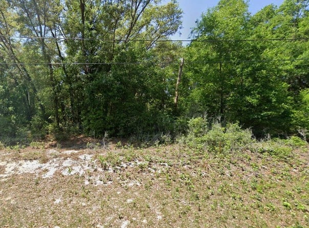 GUAVA PASS Lane, OCKLAWAHA, FL 32179