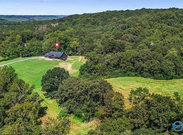 1128 Double S Mountain Road, Baileyton, AL 35019