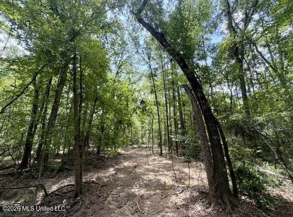 SE Lee Drive, Bogue Chitto, MS 39629