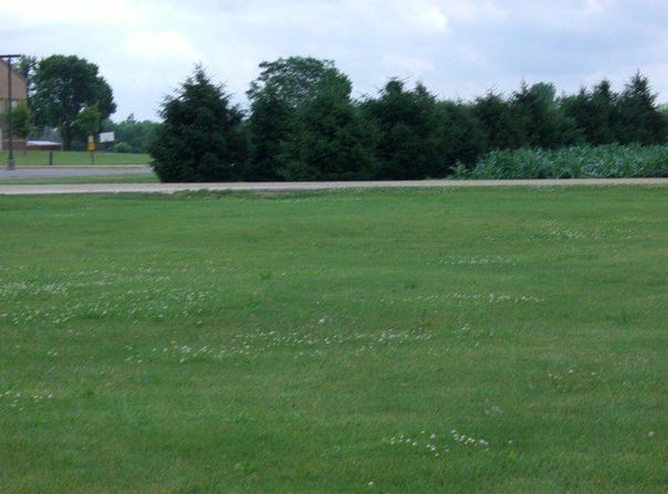 601/603 EFFIE Drive lot: 36, Earlville, IL 60518