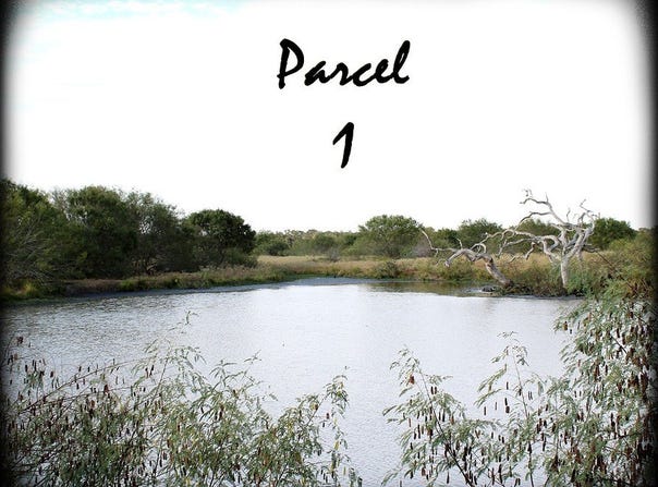 Parcel 1 Lobo Lane, Columbus, TX 78934