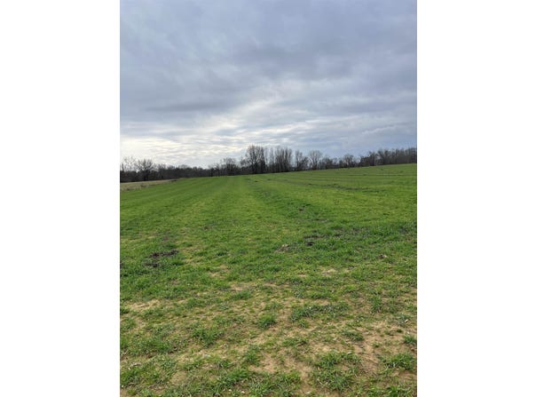01 SCHOLES Ln, Stanton, TN 38069