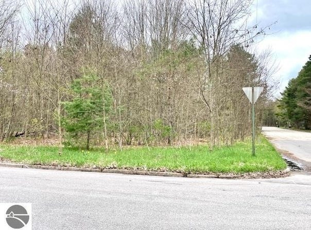 Brook Avenue, Kaleva, MI 49645