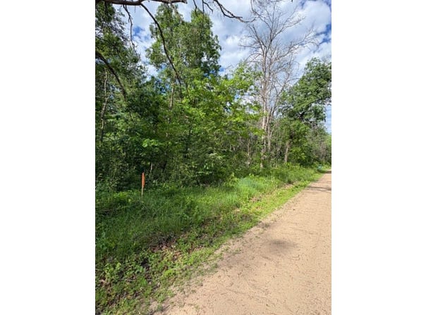 V/L E Lynndon Street, Idlewild, MI 49642