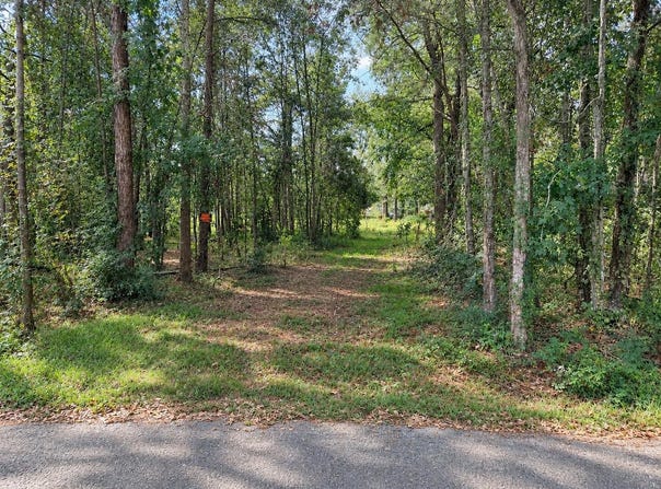 270 E Elizabeth st, Vidor, TX 77662