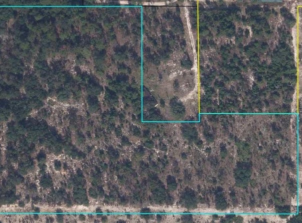 LADY BUG Lane, MELROSE, FL 32666