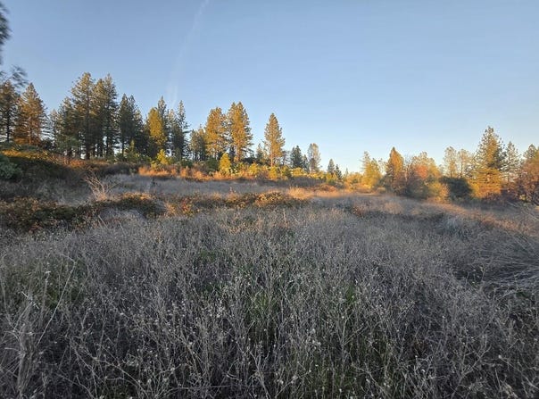 Donkey Mine Road, Oak Run, CA 96069