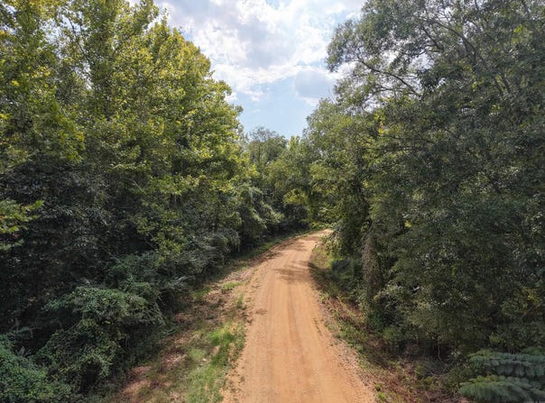 Brushy Creek Road, Rison, AR 71665