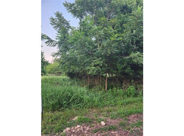 54 Oklahoma Drive, Linn Valley, KS 66040