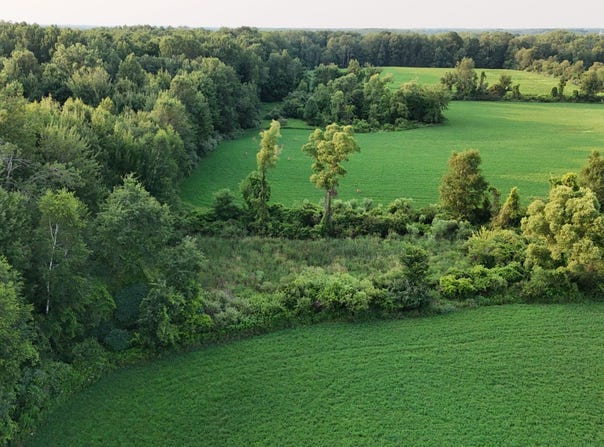1675 Robinson Road, Ubly, MI 48475