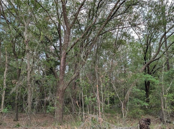NE 108TH Place, WALDO, FL 32694