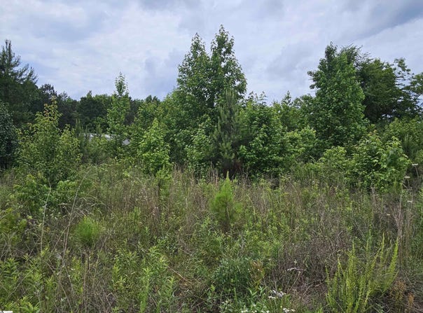 144 Colleton Lane, Clinton, SC 29325