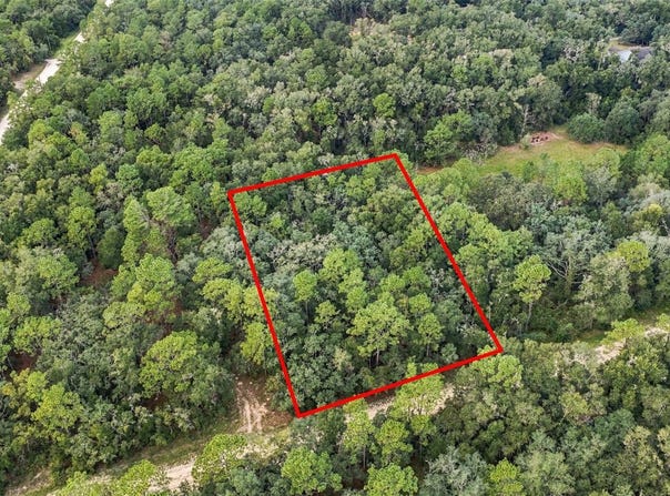 ELAINE Drive, WEBSTER, FL 33597