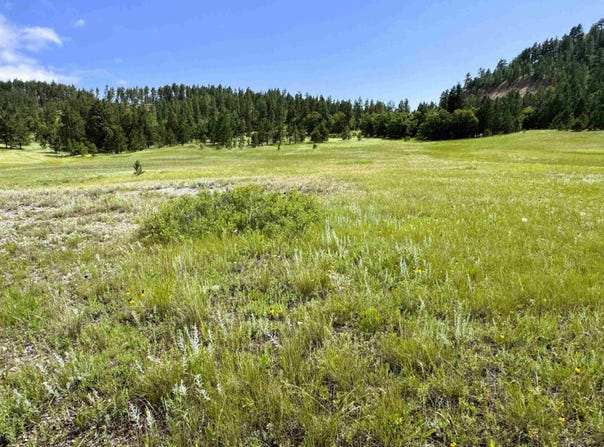 E1 Soaring Eagle Road, Hulett, WY 82720