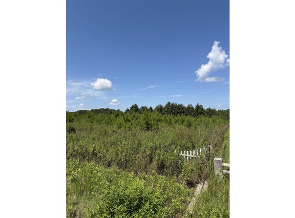 175 Dove Rd., Loris, SC 29569