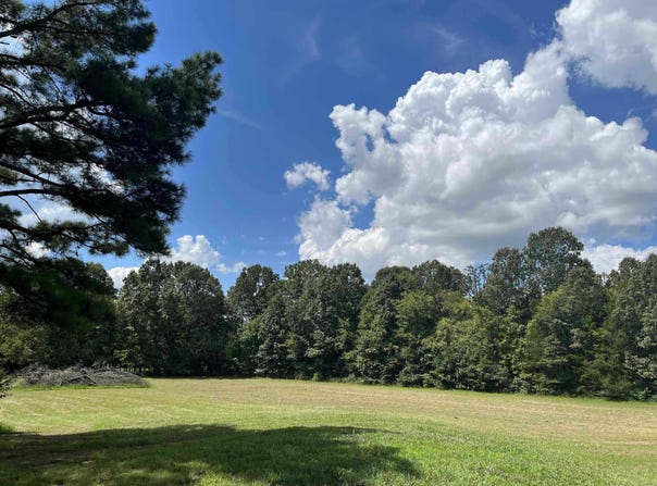 11620 E HOLMES Rd E, Collierville, TN 38017
