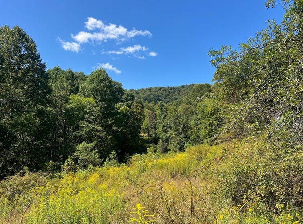 Hamilton Ridge Road, Alderson, WV 24910