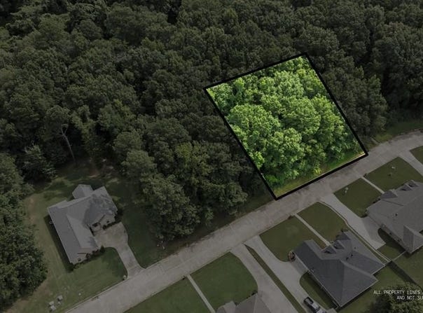Brown Dr, Wake Village, TX 75501
