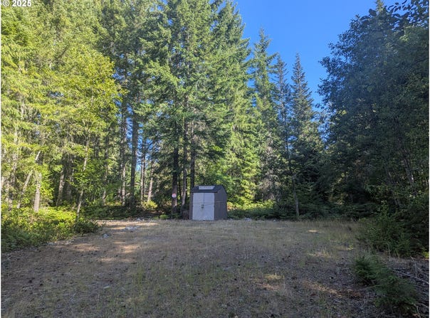 30 Nymark Dr, Cougar, WA 98616
