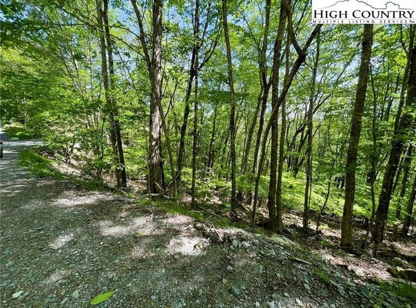 234 Lakeledge Road, Beech Mountain, NC 28604