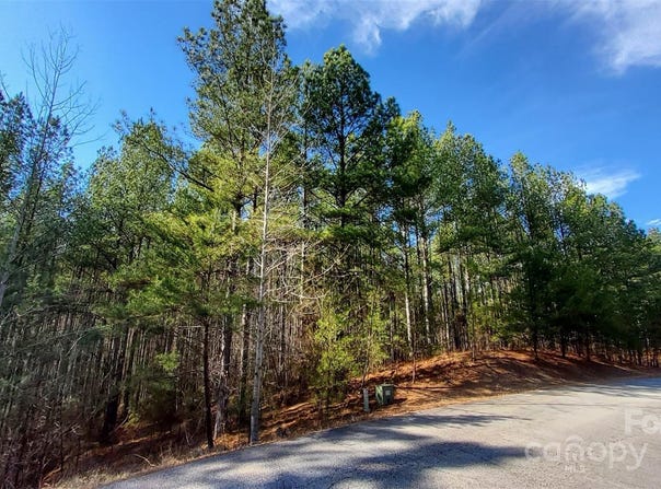Sunset Drive, Mill Spring, NC 28756