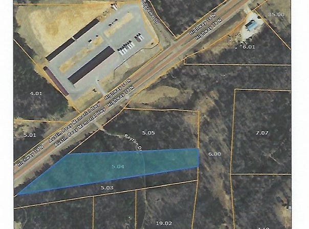 Hwy 79N, Springville, TN 38256