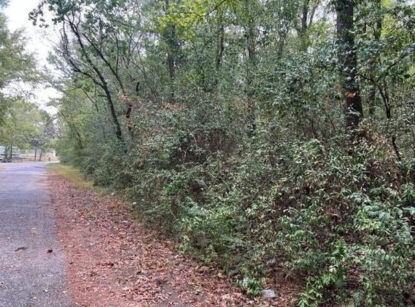 Hursey St., Jasper, TX 75951
