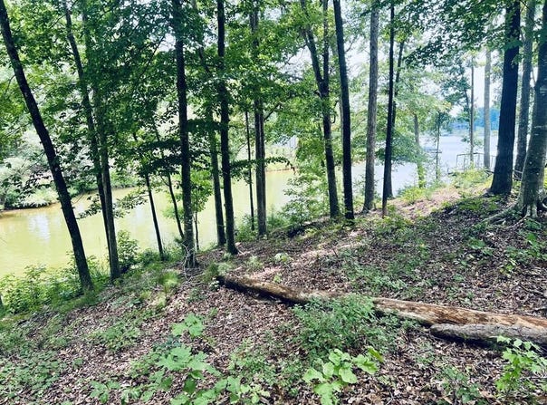 Waterside Point Lot 22, Abbeville, SC 29620