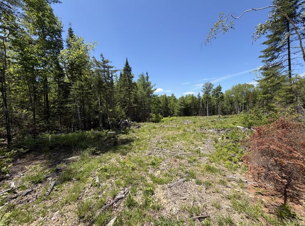Merritt Drive, Orono, ME 04473