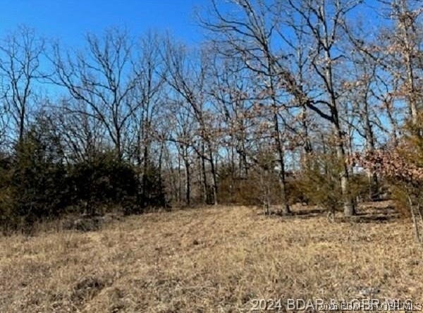 BUCKINGHAM Drive, Camdenton, MO 65020
