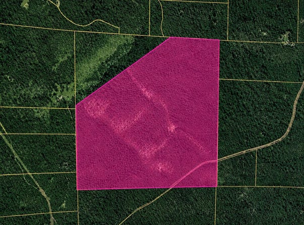 632 Private Road 421-35, West Plains, MO 65775