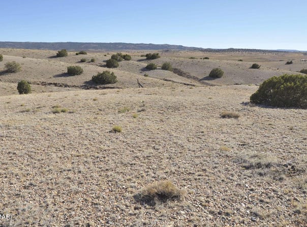 986 Concho Highway, Concho, AZ 85924