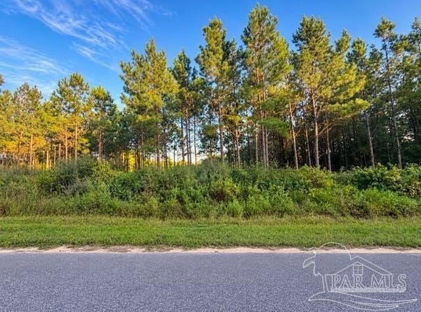 7282 Buffalo Ridge Rd, Pace, FL 32571