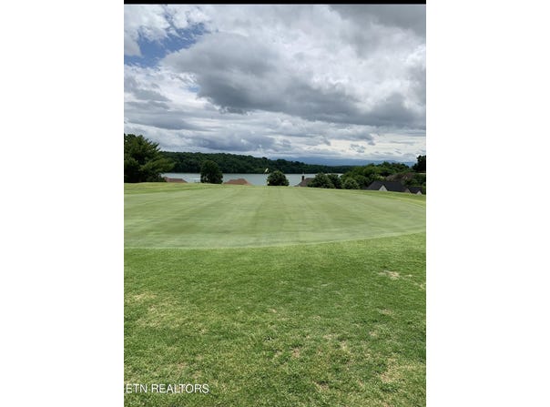 120 Pineberry Drive, Vonore, TN 37885