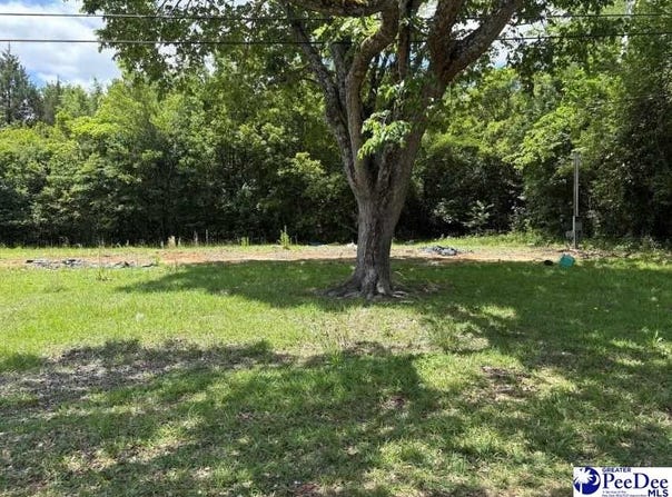 1108 E Hudson Street, Dillon, SC 29536