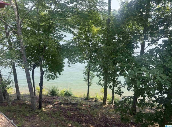 372 POPE LANE, WEDOWEE, AL 36278