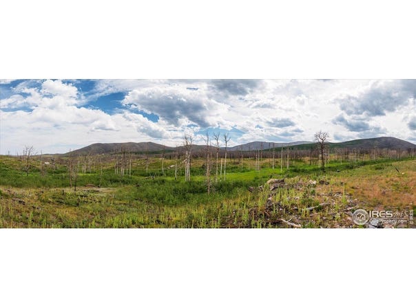 529 Quartz Rd, Bellvue, CO 80512