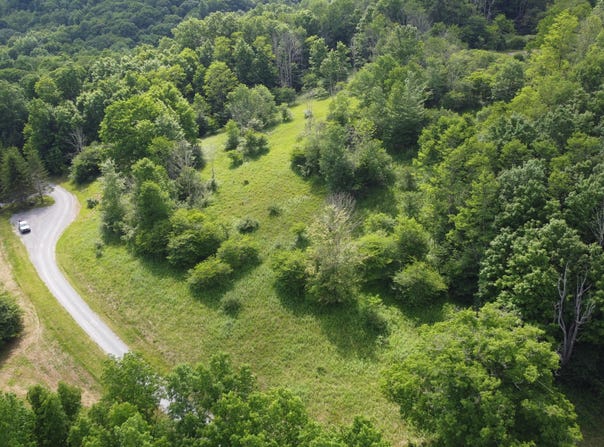 206 Sunset Pass Rd, Slatyfork, WV 26291