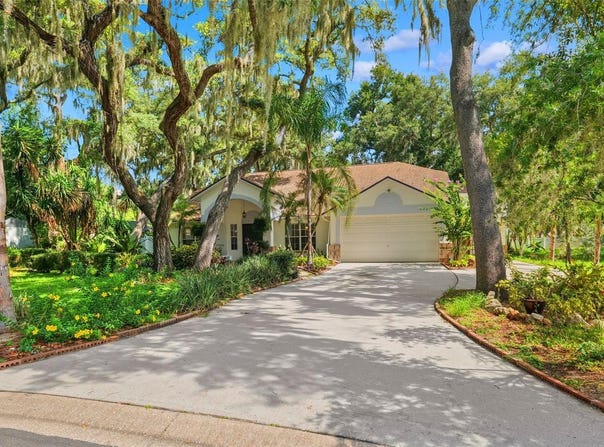 2770 BUCKHORN OAKS Drive, VALRICO, FL 33594