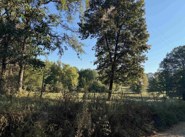 Polk Road 19, Cove, AR 71937