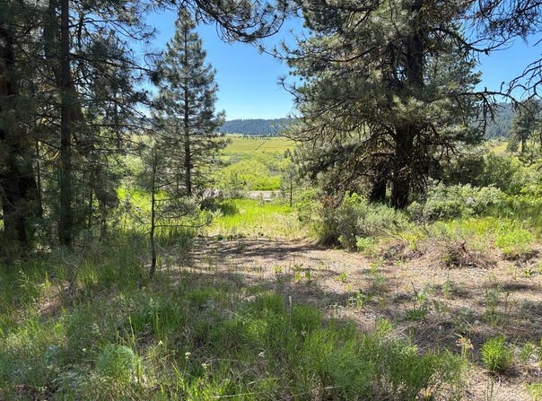 L16 B1 Lantern Way lot: 16, Cascade, ID 83611