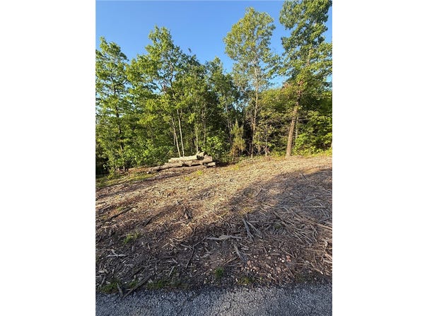 Arbroath Lane lot: 6, Bella Vista, AR 72715