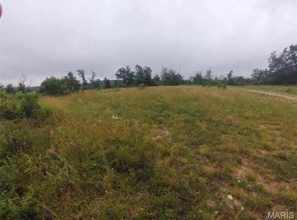 Tract 3 Off Highway O, Belleview, MO 63623