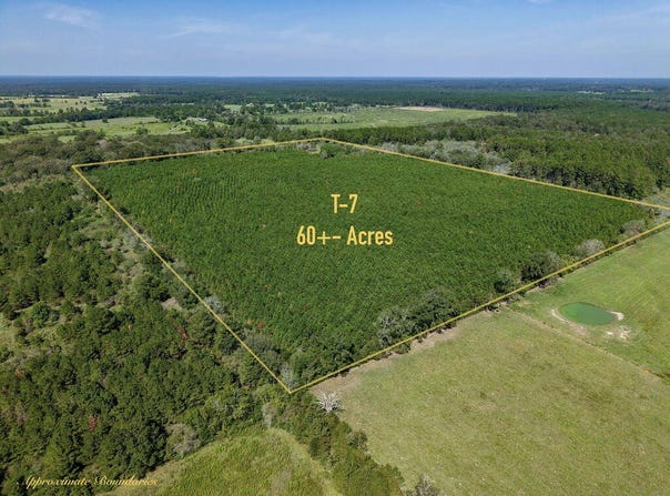 PID 32385 FM 844, Huntington, TX 75949