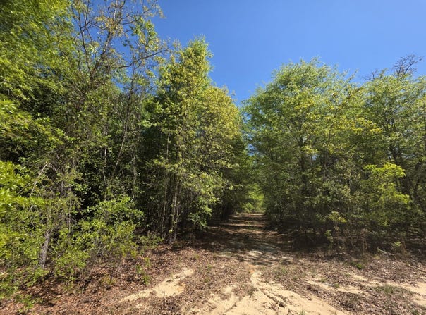 2b Briarwood Drive, Williston, SC 29853